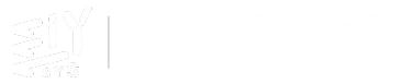 Eiysys And RevInfotech